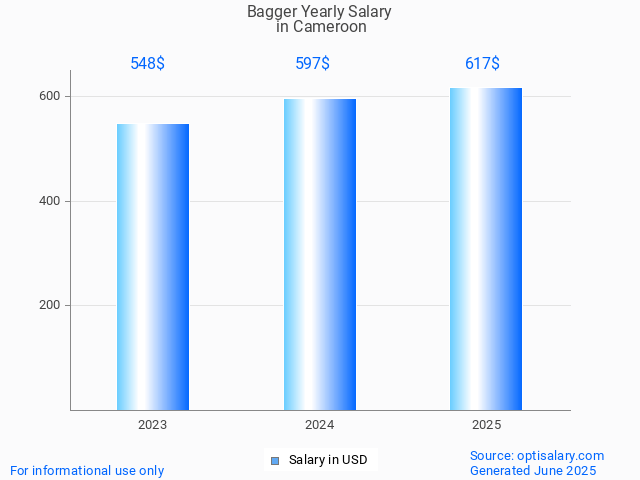 bagger salary in cameroon 2025 bagger salary in cameroon 2025