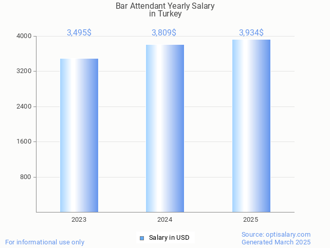 bar attendant salary in turkey 2025 bar attendant salary in turkey 2025