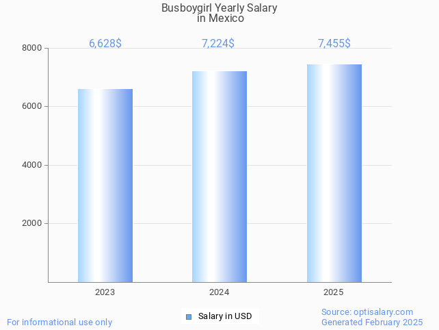 busboygirl salary in mexico 2025 busboygirl salary in mexico 2025