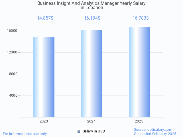 business insight and analytics manager salary in lebanon 2025 business insight and analytics manager salary in lebanon 2025