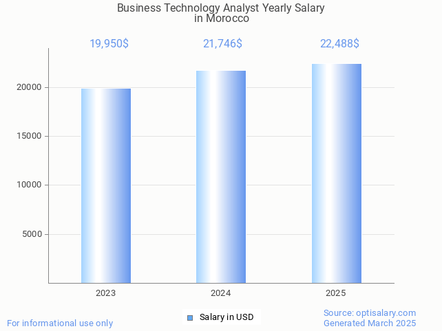 business technology analyst salary in morocco 2025 business technology analyst salary in morocco 2025