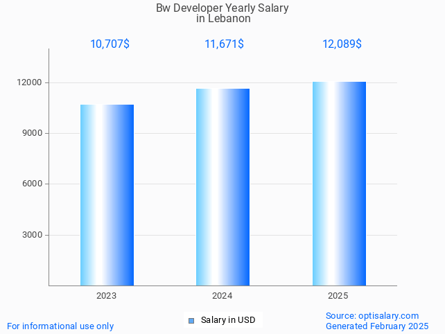 bw developer salary in lebanon 2025 bw developer salary in lebanon 2025