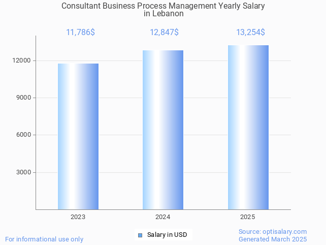 consultant business process management salary in lebanon 2025 consultant business process management salary in lebanon 2025
