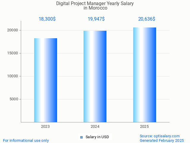 digital project manager salary in morocco 2025 digital project manager salary in morocco 2025