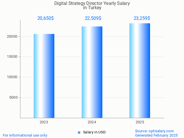 digital strategy director salary in turkey 2025 digital strategy director salary in turkey 2025