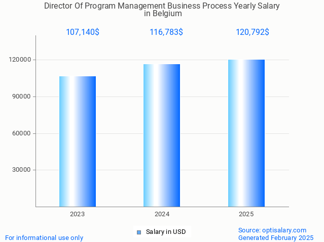 director of program management business process salary in belgium 2025