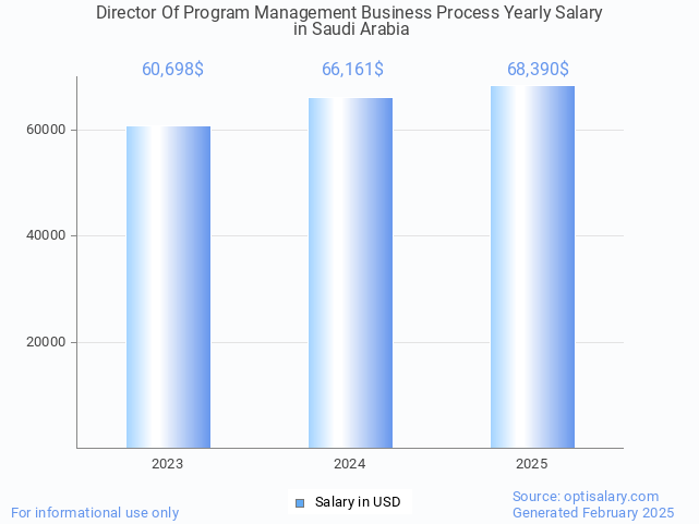 director of program management business process salary in saudi arabia 2025 director of program management business process salary in saudi arabia 2025