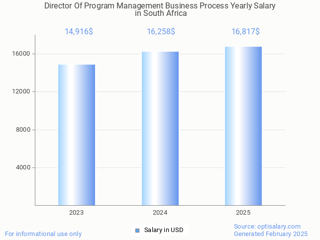 director of program management business process salary in south africa 2025 director of program management business process salary in south africa 2025