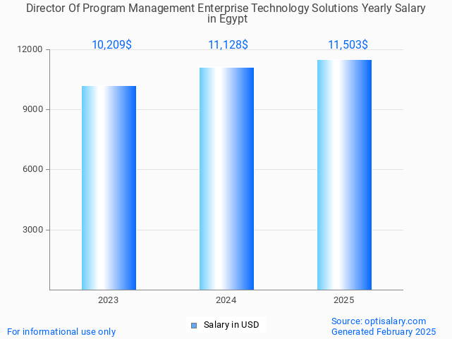 director of program management enterprise technology solutions salary in egypt 2025 director of program management enterprise technology solutions salary in egypt 2025
