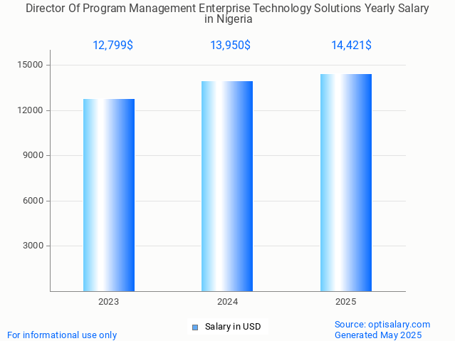 director of program management enterprise technology solutions salary in nigeria 2025