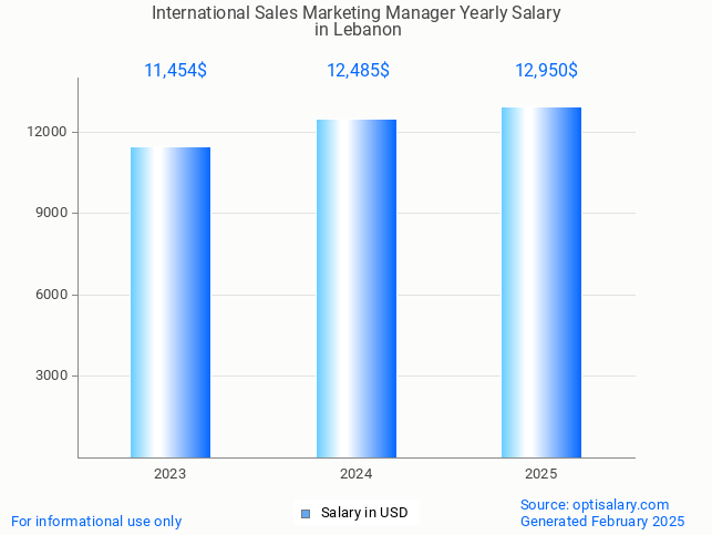 international sales marketing manager salary in lebanon 2025 international sales marketing manager salary in lebanon 2025