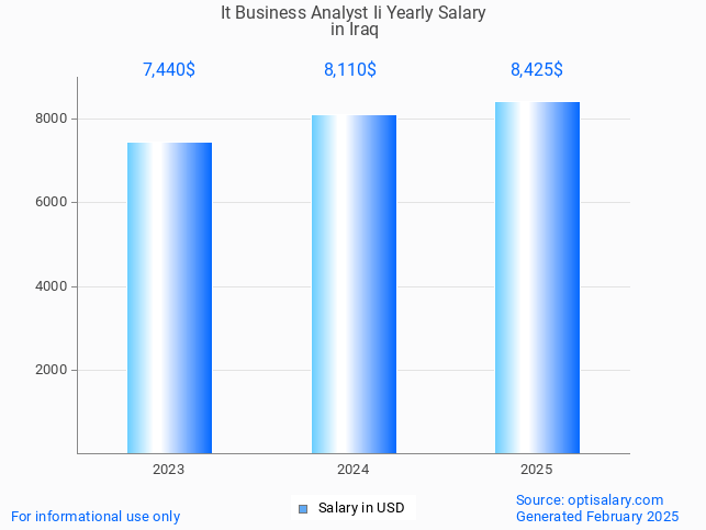 it business analyst ii salary in iraq 2025 it business analyst ii salary in iraq 2025