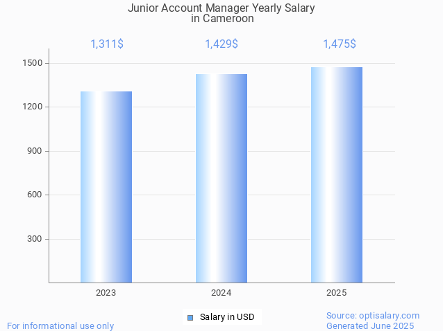 junior account manager salary in cameroon 2025 junior account manager salary in cameroon 2025