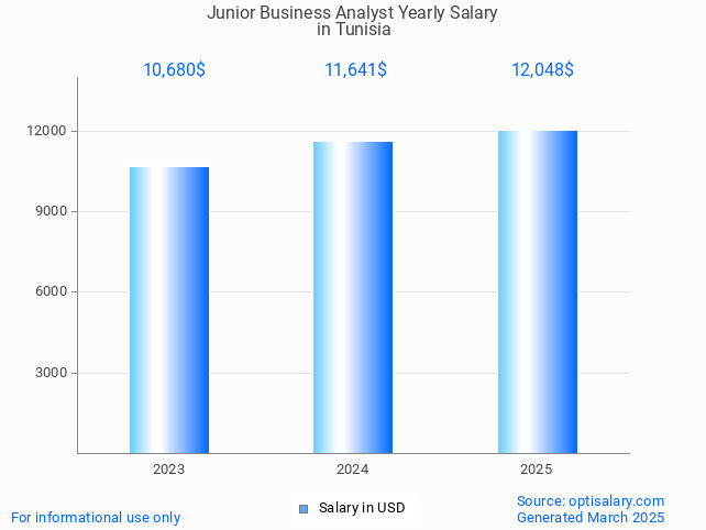 junior business analyst salary in tunisia 2025 junior business analyst salary in tunisia 2025