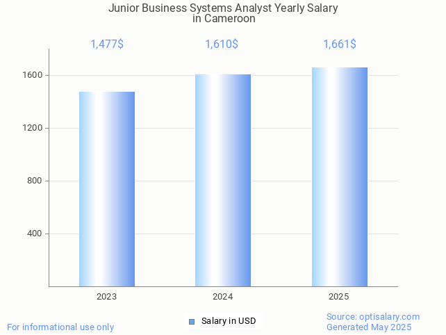 junior business systems analyst salary in cameroon 2025 junior business systems analyst salary in cameroon 2025