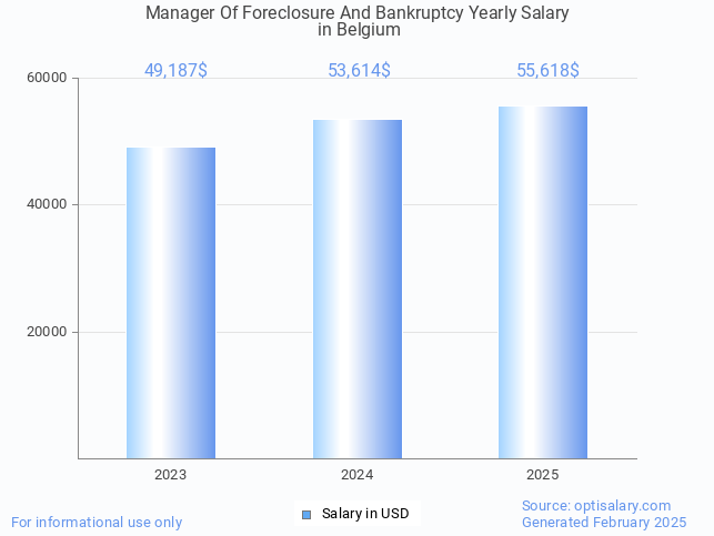 manager of foreclosure and bankruptcy salary in belgium 2025 manager of foreclosure and bankruptcy salary in belgium 2025