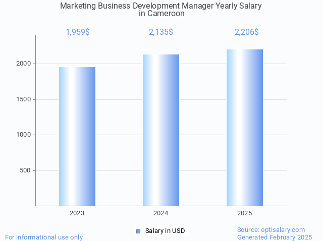 marketing business development manager salary in cameroon 2025 marketing business development manager salary in cameroon 2025