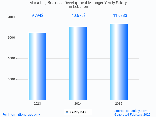 marketing business development manager salary in lebanon 2025 marketing business development manager salary in lebanon 2025