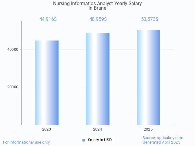 nursing informatics analyst salary in brunei 2025