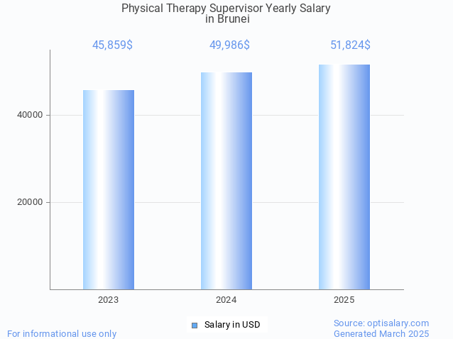 physical therapy supervisor salary in brunei 2025