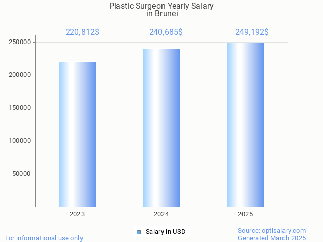 plastic surgeon salary in brunei 2025 plastic surgeon salary in brunei 2025