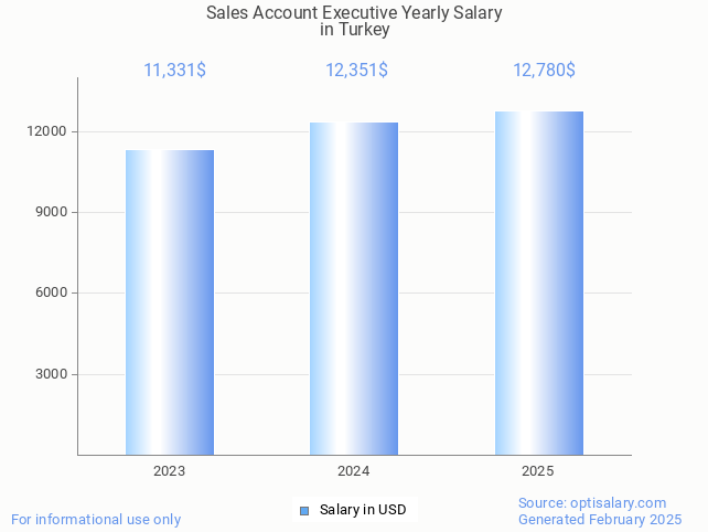 sales account executive salary in turkey 2025 sales account executive salary in turkey 2025