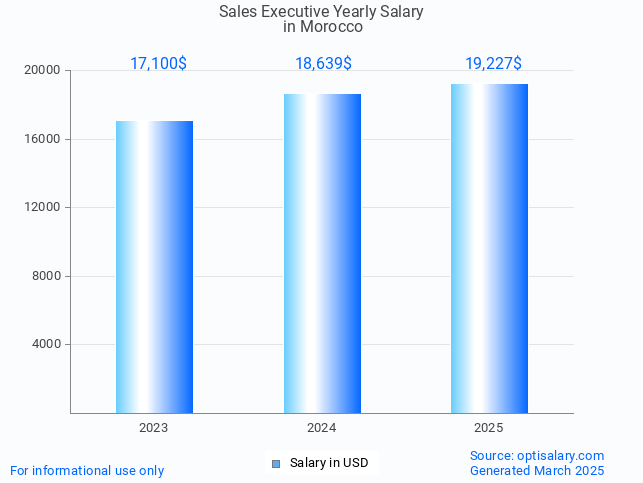 sales executive salary in morocco 2025 sales executive salary in morocco 2025