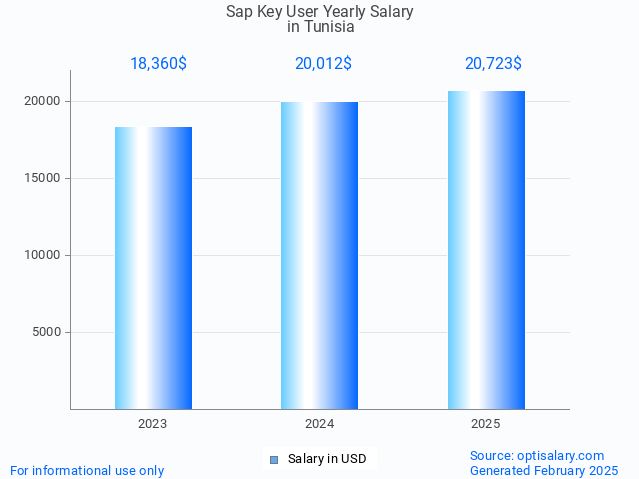 sap key user salary in tunisia 2025 sap key user salary in tunisia 2025