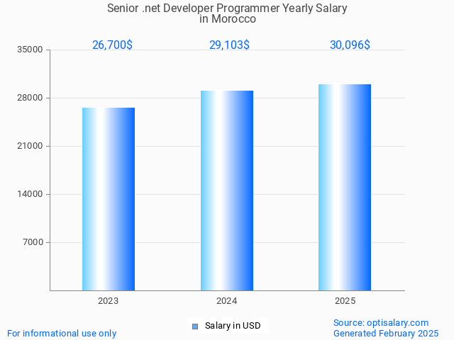 senior .net developer programmer salary in morocco 2025 senior .net developer programmer salary in morocco 2025