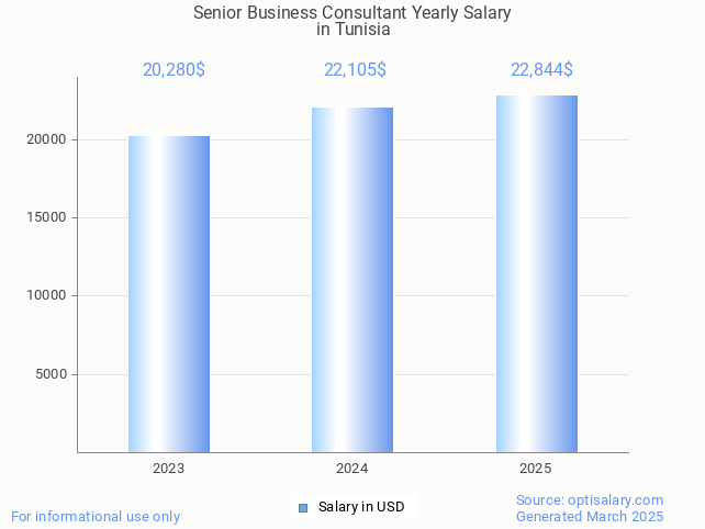senior business consultant salary in tunisia 2025 senior business consultant salary in tunisia 2025