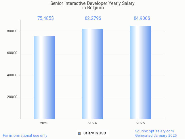 senior interactive developer salary in belgium 2025 senior interactive developer salary in belgium 2025