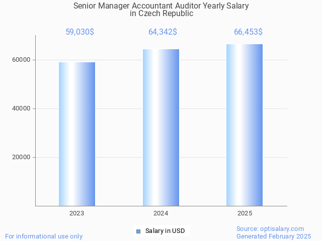 senior manager accountant auditor salary in czech republic 2025 senior manager accountant auditor salary in czech republic 2025