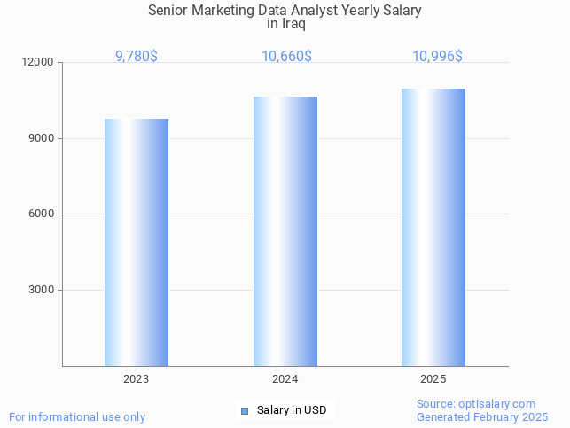 senior marketing data analyst salary in iraq 2025 senior marketing data analyst salary in iraq 2025
