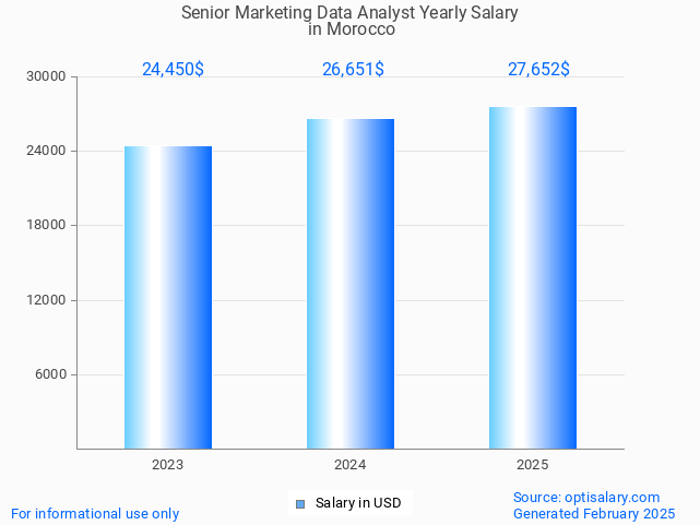 senior marketing data analyst salary in morocco 2025 senior marketing data analyst salary in morocco 2025