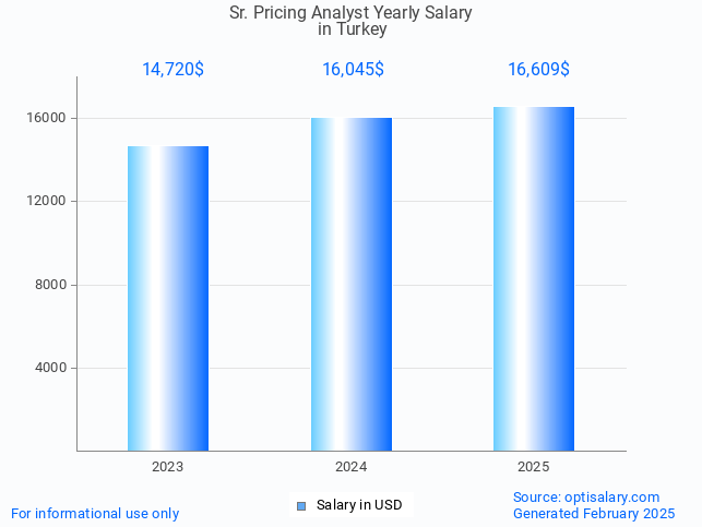 sr. pricing analyst salary in turkey 2025 sr. pricing analyst salary in turkey 2025