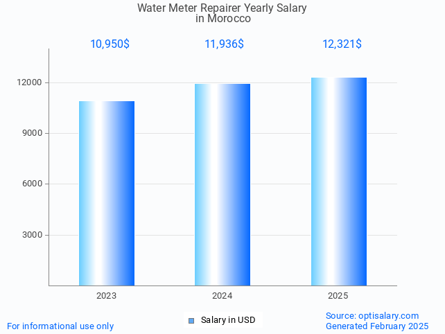 water meter repairer salary in morocco 2025 water meter repairer salary in morocco 2025