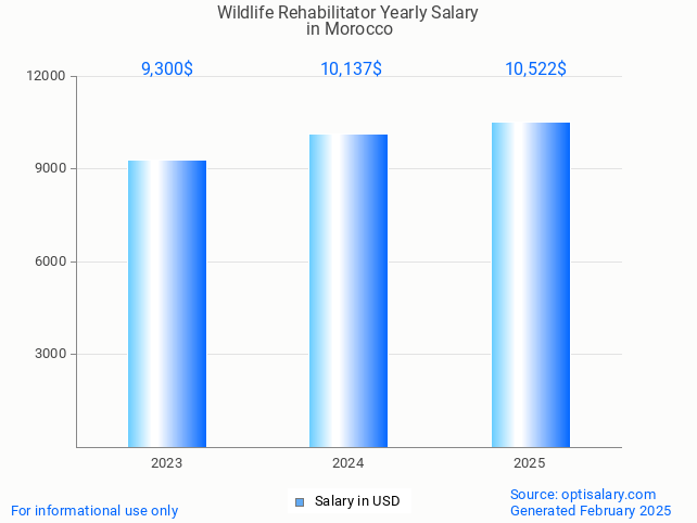 wildlife rehabilitator salary in morocco 2025 wildlife rehabilitator salary in morocco 2025